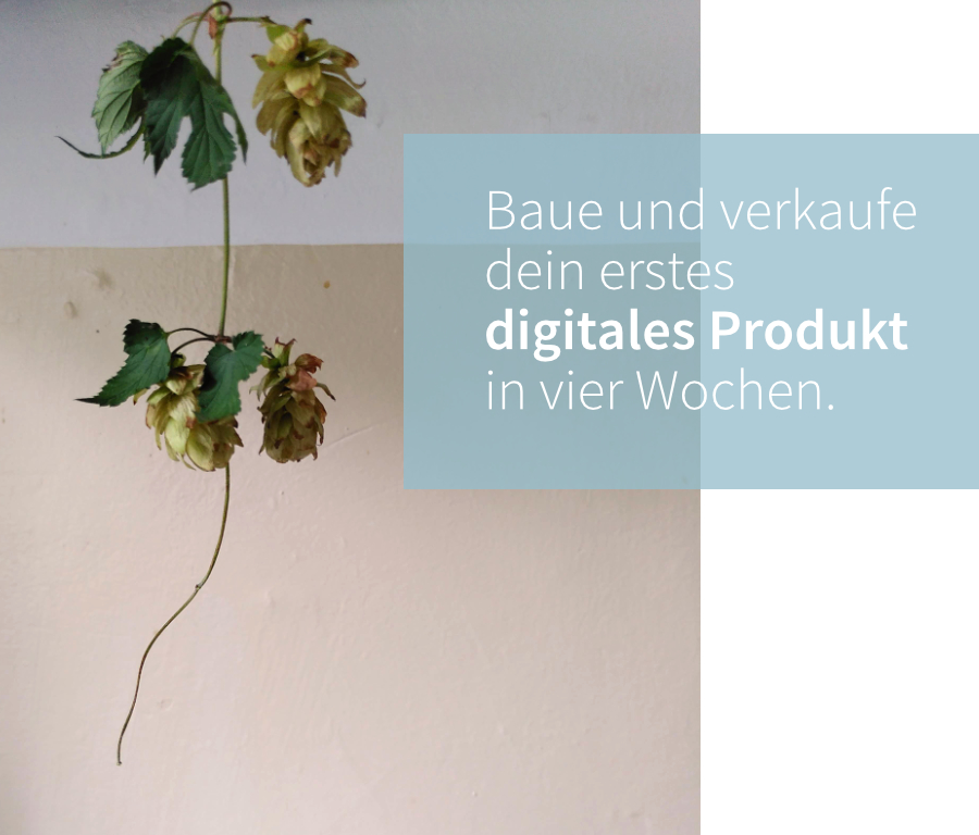 Baue und verkaufe dein erstes digitales Produkt in vier Wochen.