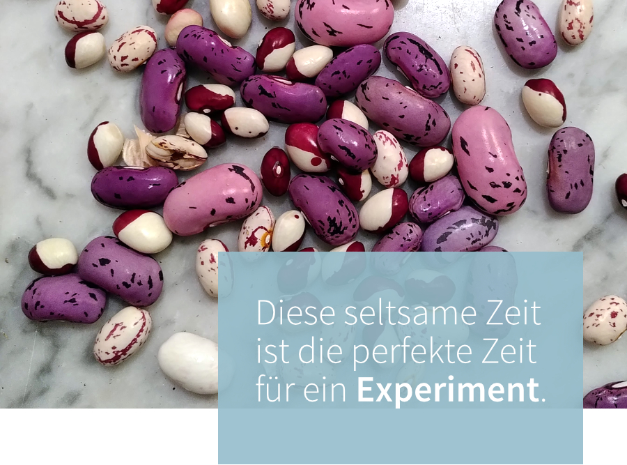 Diese seltsame Zeit ist die perfekte Zeit für ein Experiment.